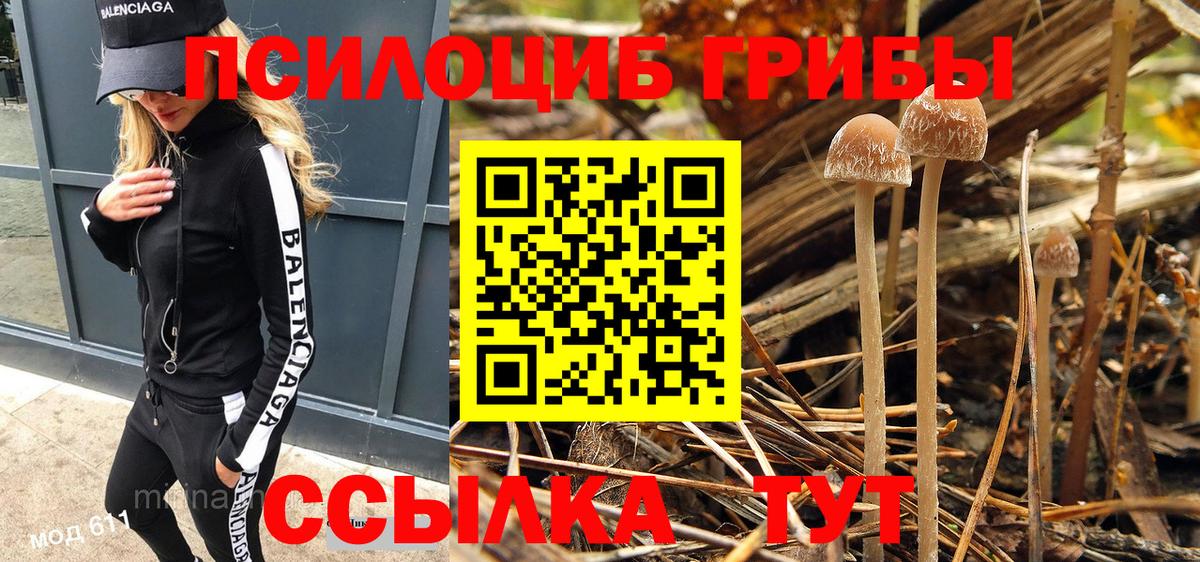 Псилоцибиновые грибы мицелий Нефтекамск